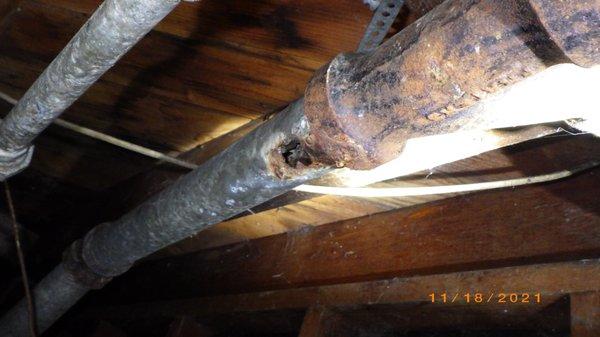 A common finding on older homes is older waste lines that will need immediate replacement.