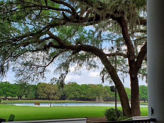 Grand Oaks view from the outdoor restaurant area.