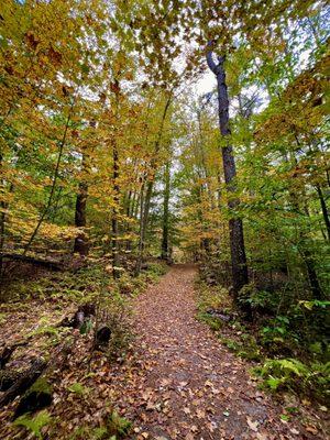 Trail to the ruins! Lovely in the fall colors! (October 2023)