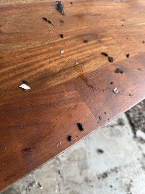 Rat feces and urine all over my table benches