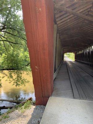 The creek was high from recent rains