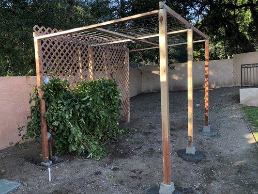 Build trellis for  fruits