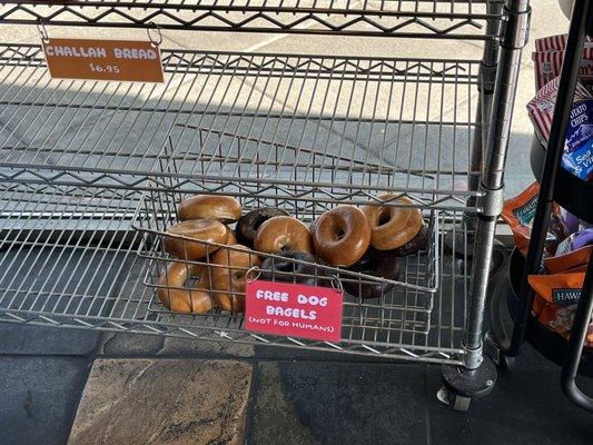 Free dog bagels