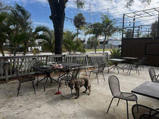 Back patio overlooking marina dry dock