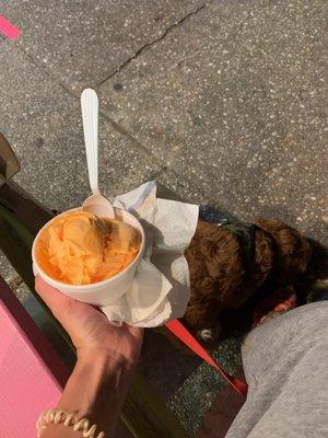 Orange sherbet is delicious (even our puppy loves Lizzy's!)