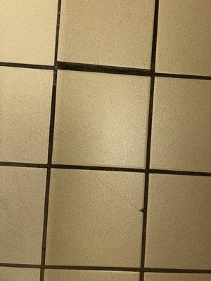 One of these tiles is cracked the others are lifting and loose. Looks really dirty in between.