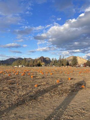 Smith Rock Ranch