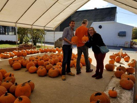 Pumpkins!