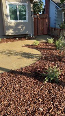 Mulch installation. 
Steps. 
Planting.