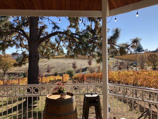 Vineyard View for Gazebo