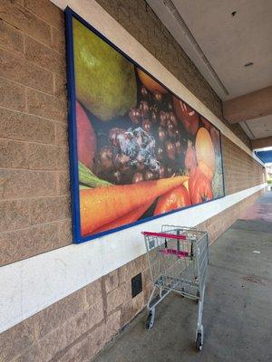 Portrait with an abandoned shopping cart in front of it