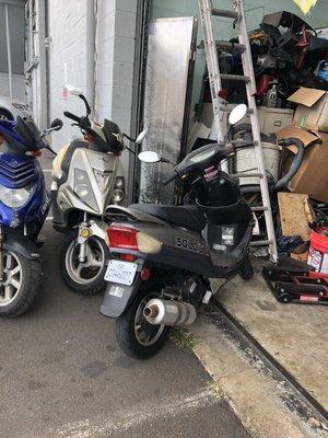 This is the moped we had bought only to find out the paperwork wasn't real and it was already registered to someone in Hawaii. BUYER BEWARE.