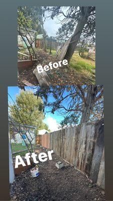 Replace fence Bautista 5102603483