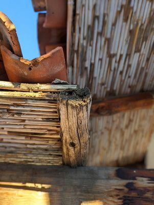 oak log rafters and saplings laid perpendicularly under the tiles.