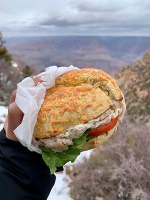 Deli bagel sandwich