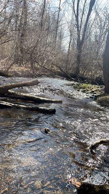 Goose Creek Trail