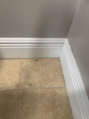 Moved a small storage chest in bathroom to find dirt behind it.