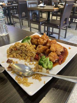 Pork fried rice and general tso chicken