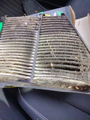 The air filter