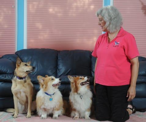 As seen in Bethesda Magazine: Ginger, Cody, and Lucky listen to Lisa (photo by Hilary Schwab)