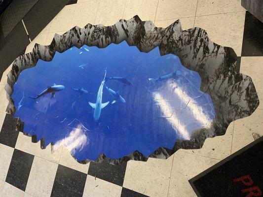 3D Floor Graphic (by entrance; it's like you're looking down a hole & there's sharks in the ocean)