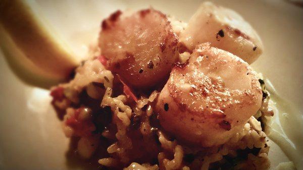 Seared Scallops