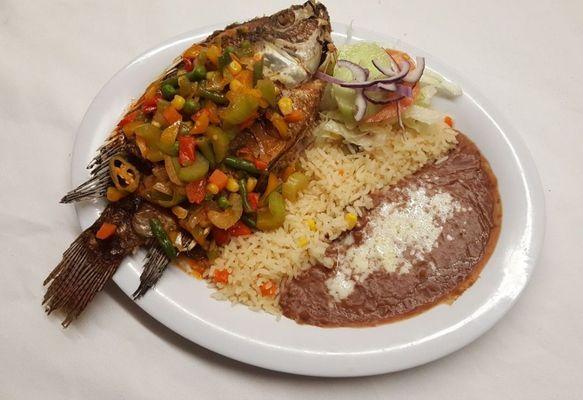 Mojarra Veracruz mojarra veracruzana