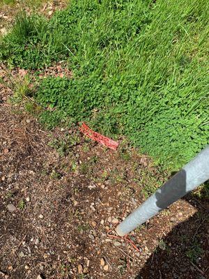 Debris left on lawn