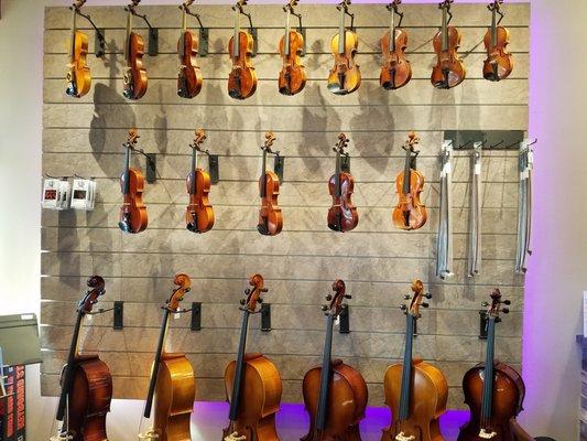 Orchestral String Display