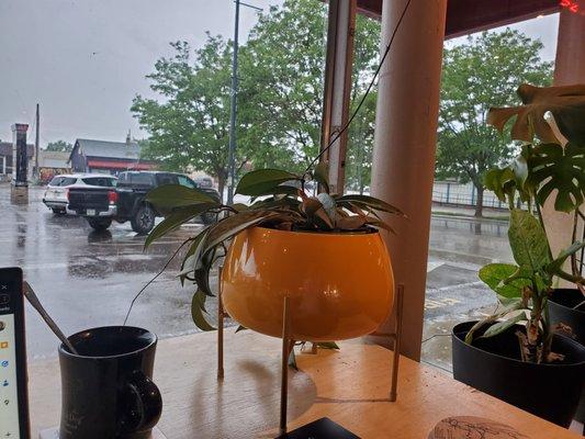 Bottomless drip coffee and a rainy day