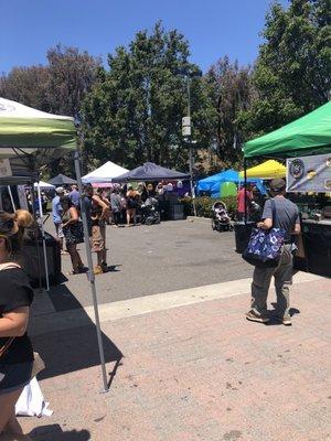 Parking lot full of vendors, no space for cars