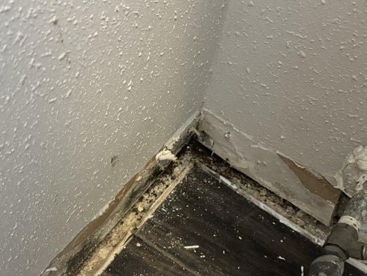 Mold!!! They say they won't fix this because "it's not that bad.@