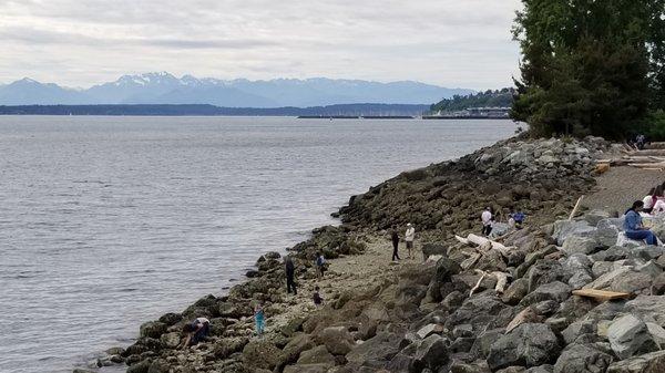 Photo from the south side on the trail, capturing the west side of the beach that is normally covered by seawater.