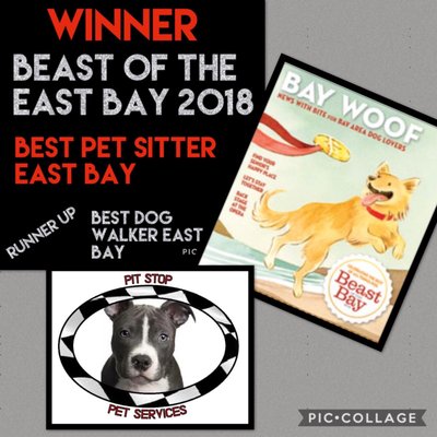 Won Beast of the Bay by Bay Woof Magazine. BEST PET SITTER EAST BAY and runner up for BEST DOG WALKER EAST BAY 2018!