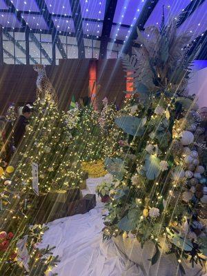 Festival of Trees