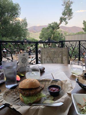 Veggie burger & a mule with a view!