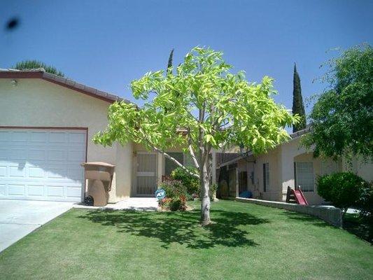 BakersfieldTreeService.com