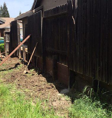 Wood props are used to stabilize the fence until the freshly poured cement has time to harden. The temporary wood props are then removed.