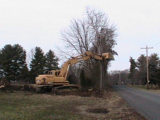 Tree removal and land clearing