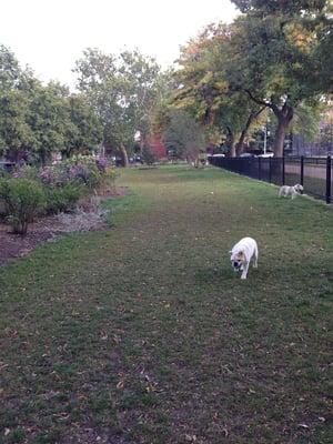 Beautiful park with lots of grass