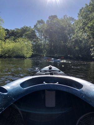 On the Edisto River.