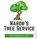 Nabor's Tree Service