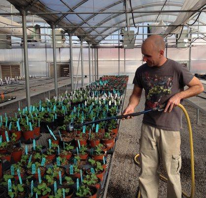 Our clients work hard to grow and care for thousands of plants!  All to help gain independence for their lives.