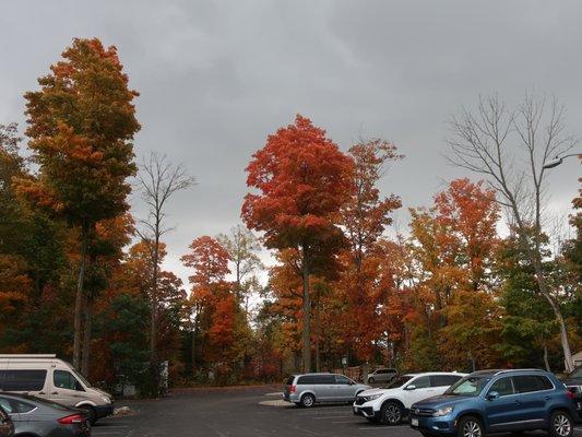 Beautiful peak colors scenery by their parking lot.