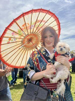 Japan Festival Boston