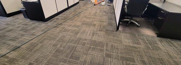 Commercial Business Carpet Cleaning of Office Building with Cubicles