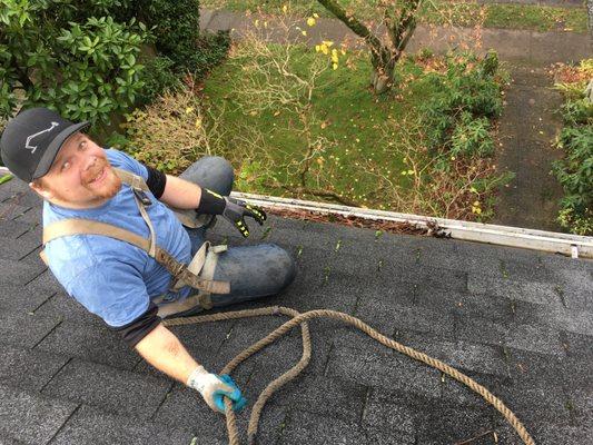 Approaching the gutters from the roof. 
 It's a dangerous job. 
 We do what it takes!