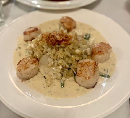 Scallops