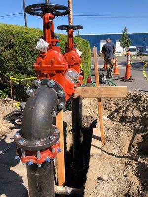 New install of a backflow assembly!