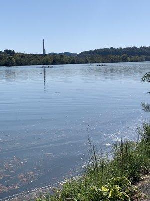 Rowing regattas all along the water are fun to watch